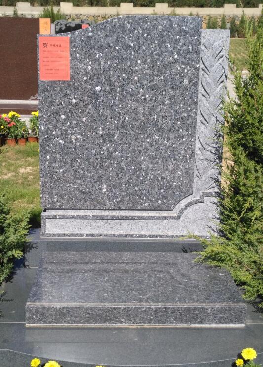 九龍對(duì)軍旅生涯墓碑的介紹