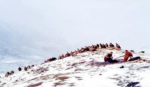 呼市殯儀服務(wù) 呼市殯儀服務(wù)