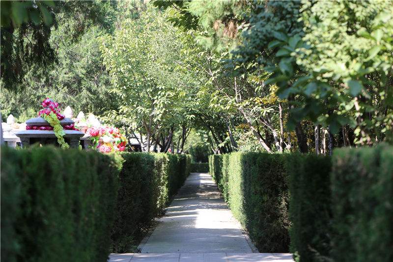 生命的歸宿，墓園植物景觀設(shè)計(jì)的方法